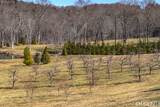 52 Calhoun Street - Photo 15