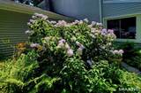 7 Old Forge Road - Photo 39