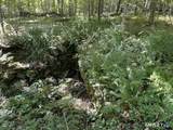  Kozey Road - Photo 13