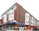 71-73 Whitney Avenue - Photo 1