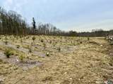 00 Prock Hill Road - Photo 20
