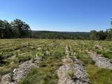 00 Prock Hill Road - Photo 6