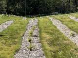 00 Prock Hill Road - Photo 9