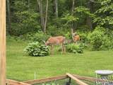 18 Quail Road - Photo 34