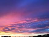 58 Morning Glory Drive - Photo 7