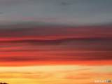 58 Morning Glory Drive - Photo 8