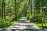 782 Smith Ridge Road - Photo 3