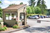 Ashley Drive - Photo 10