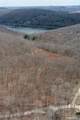 197 Tinker Hill Road - Photo 3