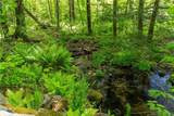 13 Dew Road - Photo 6