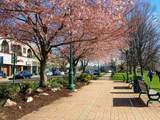 75 Main Street - Photo 3
