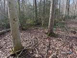 Swain Johnson Trail - Photo 2