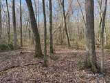  Swain Johnson Trail - Photo 3