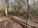  Swain Johnson Trail - Photo 5