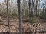  Swain Johnson Trail - Photo 6