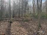  Swain Johnson Trail - Photo 8