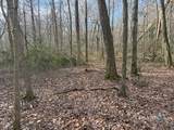  Swain Johnson Trail - Photo 9