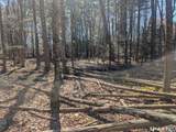 3222 Torringford Street - Photo 2
