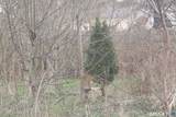 5 Arlington Road - Photo 2