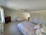35 Ruth Street - Photo 19