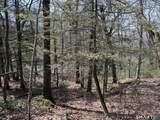  Windy Ridge Road - Photo 9