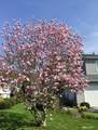 64 Branch Road - Photo 5