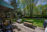 25 Ray Street - Photo 16
