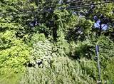 8 Old Windsor Road - Photo 2