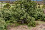 8 Red Mountain Road - Photo 22