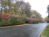 85 Wilton Crest - Photo 40