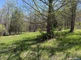 163 Clapboard Ridge Road - Photo 13