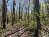 163 Clapboard Ridge Road - Photo 3