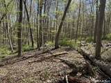 163 Clapboard Ridge Road - Photo 4