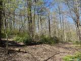 163 Clapboard Ridge Road - Photo 8