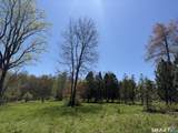 163 Clapboard Ridge Road - Photo 10