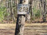 293 New City Road - Photo 2