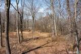 22 Old Paddock Lane - Photo 7