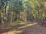  Mountain Laurel Drive - Photo 3