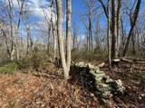  Mountain Laurel Drive - Photo 6