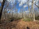  Mountain Laurel Drive - Photo 7