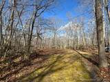  Mountain Laurel Drive - Photo 9