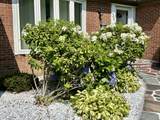 30 Apter Drive - Photo 3