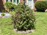 30 Apter Drive - Photo 31
