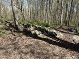 163 Clapboard Ridge Road - Photo 8
