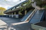 446 Whitfield Street - Photo 35