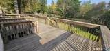 83 Forest Street - Photo 5