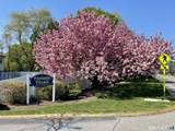 56 Founders Village - Photo 1