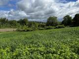 14 Red Mountain Road - Photo 21