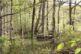 00 Mt. Tom Passway - Photo 11