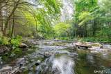 56 River Road - Photo 40